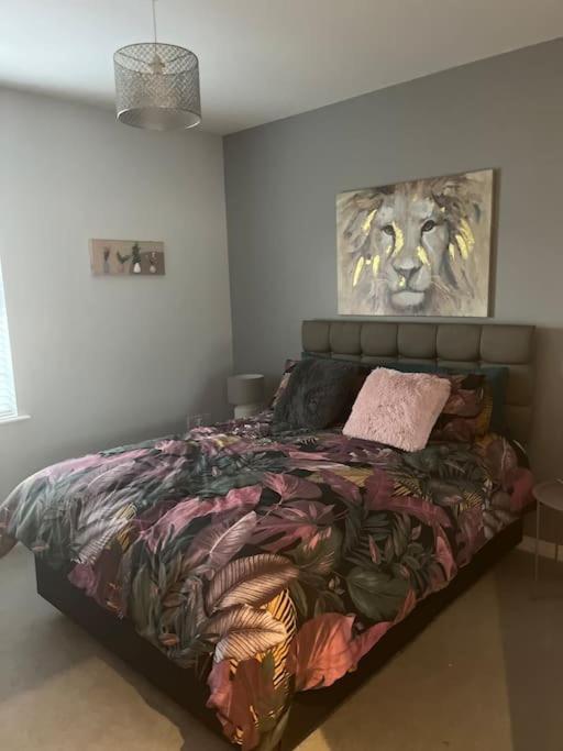 Corran Mews Apartman Larne Kültér fotó