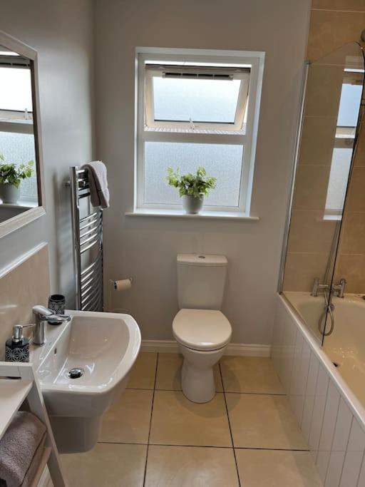 Corran Mews Apartman Larne Kültér fotó